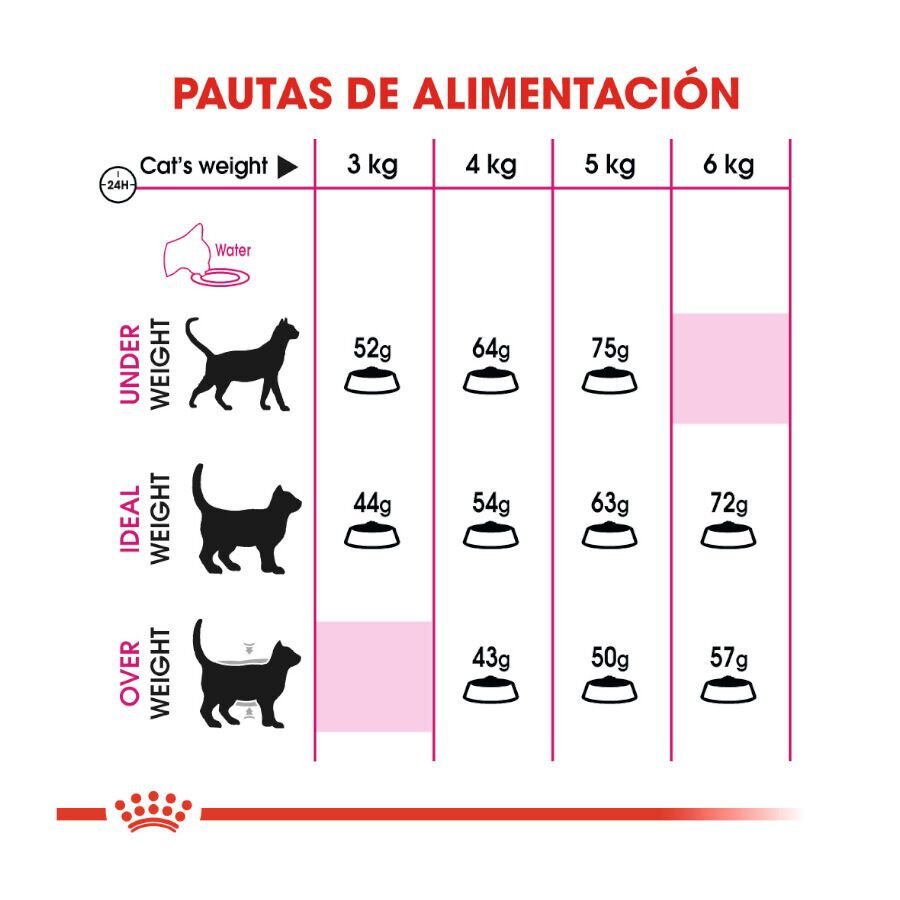 Royal Canin Adult Exigent Aroma pienso para gatos thumbnail
