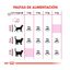 2 kg Royal Canin Adult Exigent Aroma pienso para gatos, , large indicador imagen numero 6