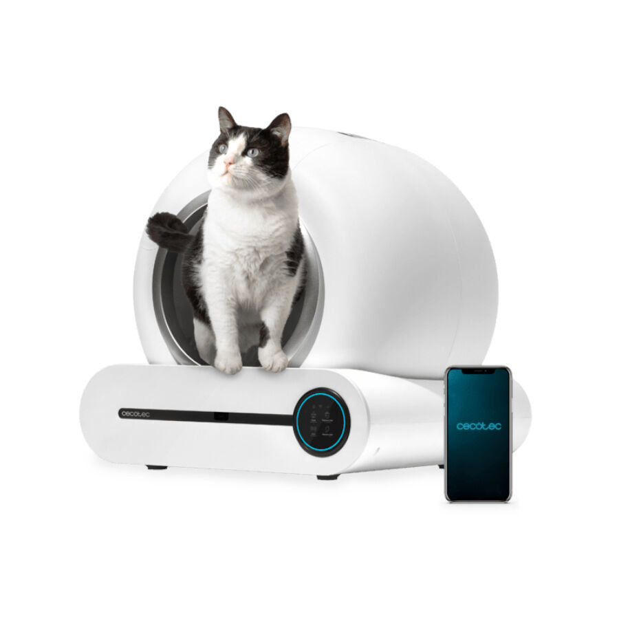 Cecotec Pumba 8000 CleanKitty Smart Arenero Autolimpiable para gatos, , large Imagen numero 2