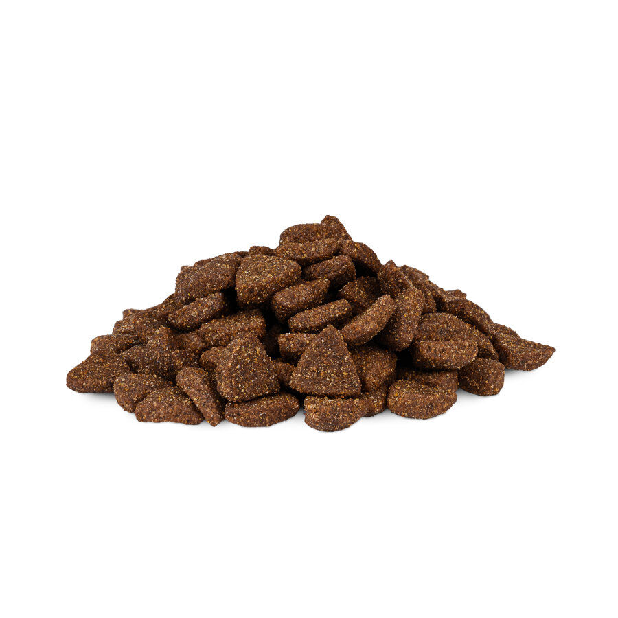 Weego Low Grain Salm&oacute;n y Arroz pienso para perros, , large Imagen numero 2