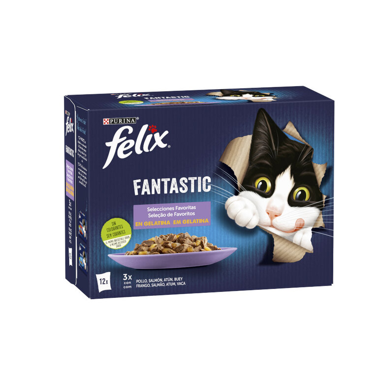 Felix Fantastic Selecciones Favoritas sobres en gelatina – Multipack, , large image number null