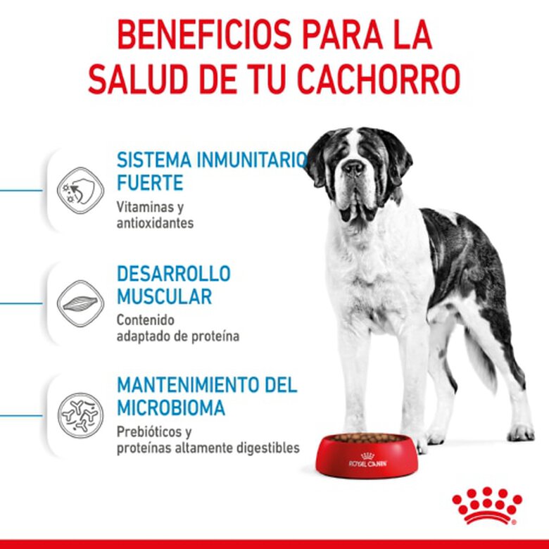 Royal Canin Junior Giant pienso para perros, , large image number null
