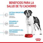 Royal Canin Junior Giant pienso para perros, , large image number null