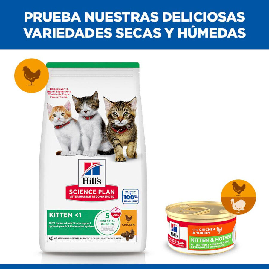 85 g Hill's Science Plan Kitten y Mother Mousse de Pollo y Pavo lata para gatos, , large Imagen numero 6