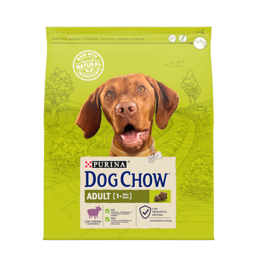 Dog Chow Adult Cordero pienso para perros