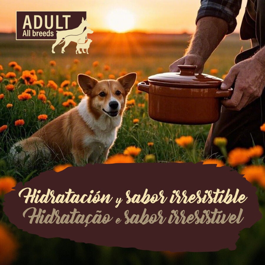 True Origins Pure Gently Coocked Pollo sobre para perros thumbnail