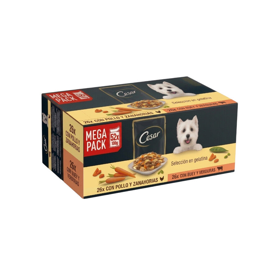 52 sobres x 100 g Cesar Selecci&oacute;n en Gelatina Pollo y Buey sobres para perros - Multipack, , large Imagen numero 1