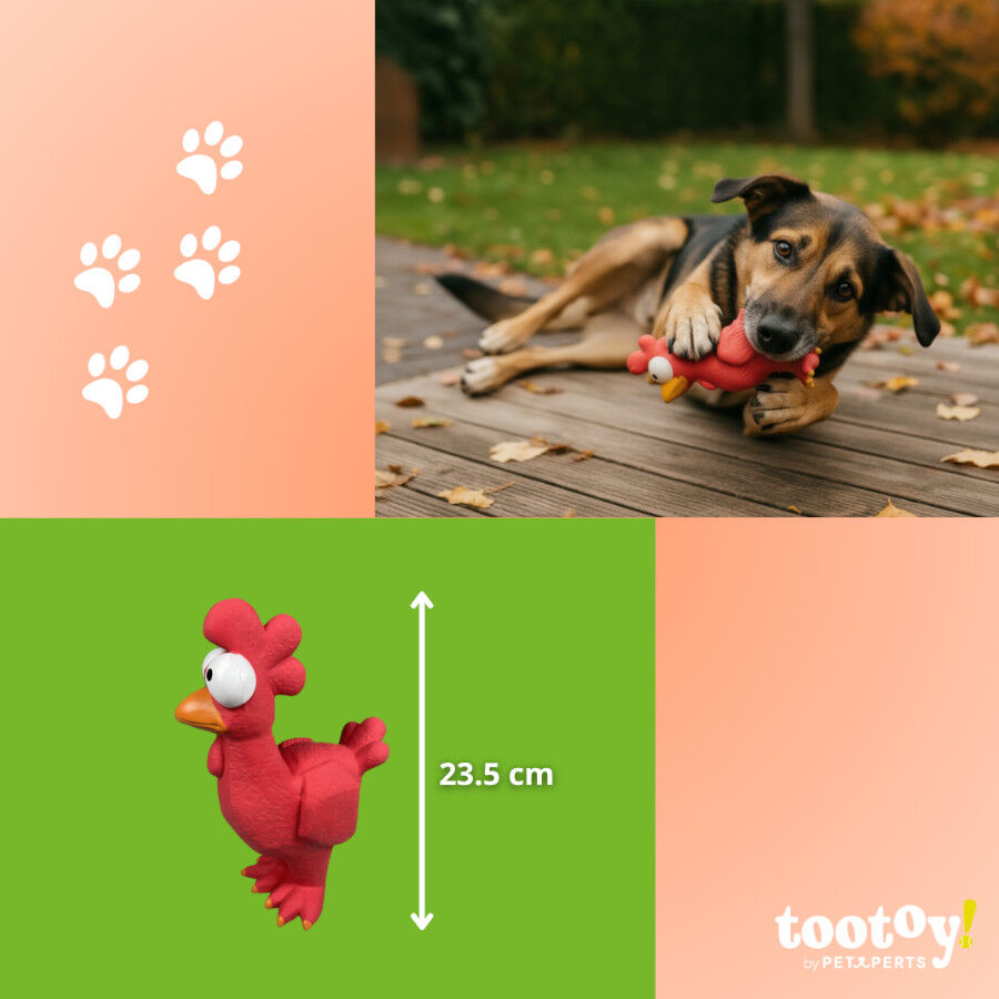 Tootoy! Mordedor con Sonido Gallina para perros thumbnail