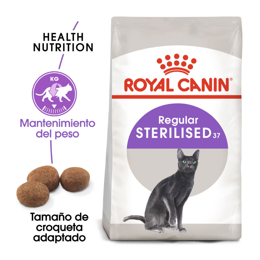 Royal Canin Regular Sterilised 37 pienso para gatos thumbnail