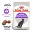 12 kg (10 + 2 kg ¡gratis!) Royal Canin Regular Sterilised 37 pienso para gatos, , large indicador imagen numero 2