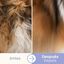 Bloob Cepillo Deslanador Subpelo para perros, , large indicador imagen numero 5