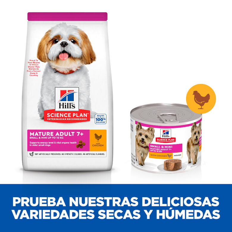 Hill&#039;s Science Plan Mature Small y Mini Mousse de Pollo lata para perros thumbnail