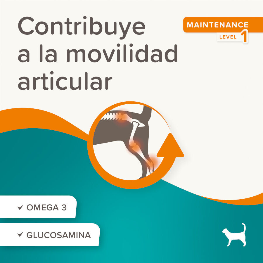 Beaphar Flexifit Bits Condroprotector para gatos thumbnail