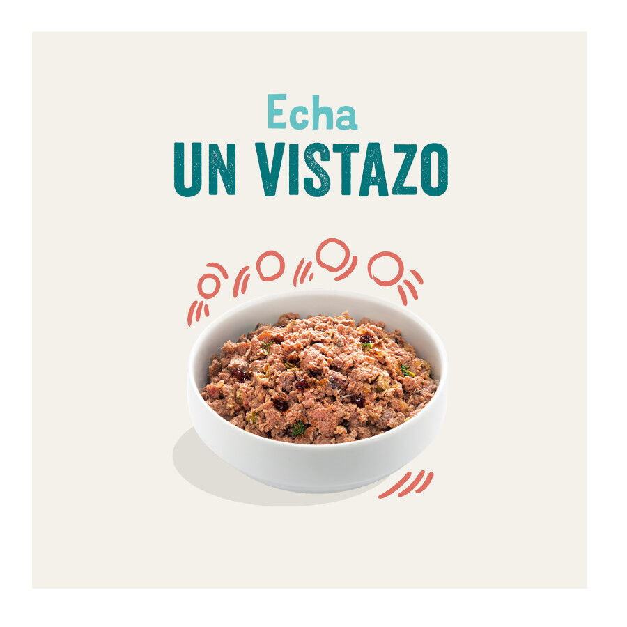 Lata Edgard &amp; Cooper Senior Pollo y Salmón lata para perros thumbnail