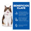 7 kg Hill's Science Plan Perfect Digestion Adult Pollo Pienso para gatos, , large indicador imagen numero 3
