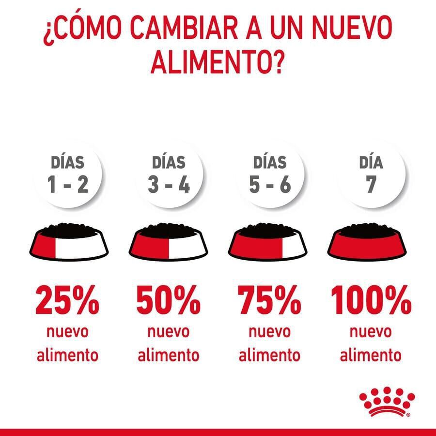 Royal Canin Nutrition Appetite Control Care gelatina para gatos thumbnail