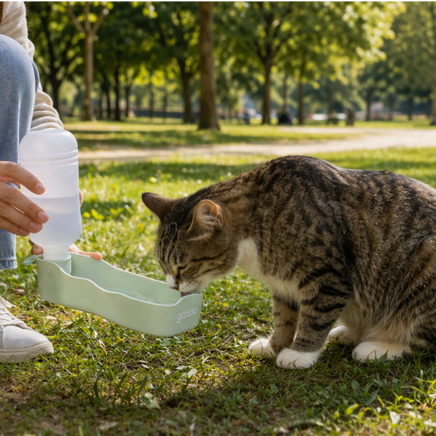 Gotoo Botella Bebedero Port&aacute;til de Pl&aacute;stico Verde para perros y gatos, , large Imagen numero 1