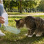 Gotoo Botella Bebedero Port&aacute;til de Pl&aacute;stico Verde para perros y gatos, , large indicador imagen numero 1