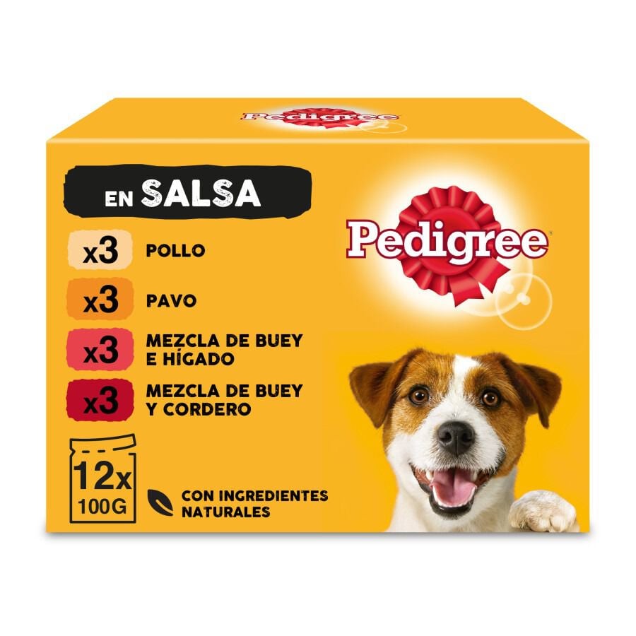 12 sobres x 100 g Pedigree Sabores Mixtos Salsa en Bolsita para Perros - Multipack, , large Imagen numero 1