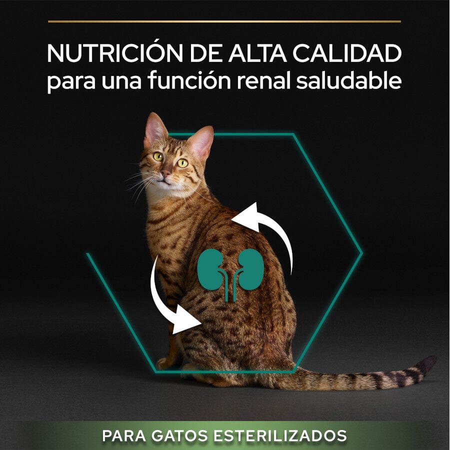Pro Plan Adult Sterilized Pavo Pienso para gatos thumbnail