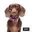 Gotoo Collar Biothane rojo vino para perros, , large indicador imagen numero 3