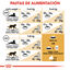 Royal Canin Adult Ragdoll pienso para gatos, , large indicador imagen numero 7