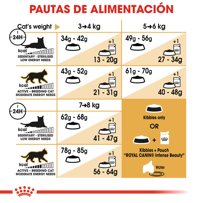 Royal Canin Adult Ragdoll pienso para gatos thumbnail
