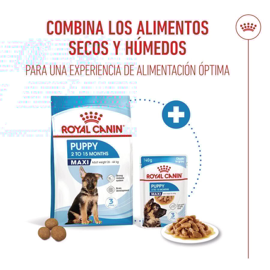 Royal Canin Húmedo Maxi Puppy sobre para perros thumbnail