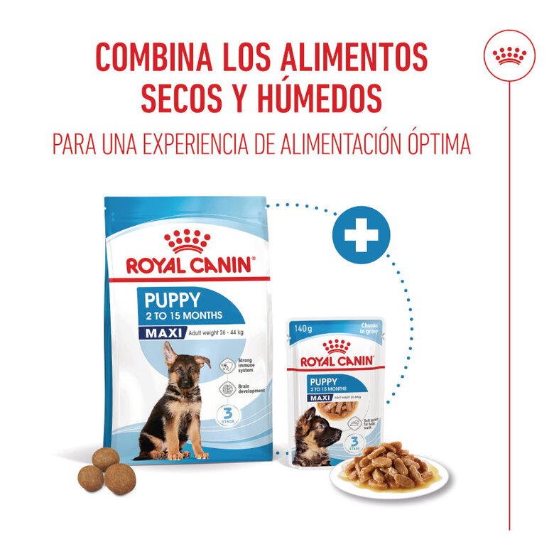 140 g Royal Canin Húmedo Maxi Puppy,  Imagen numero 5 140 g Royal Canin Húmedo Maxi Puppy, , large Imagen numero 5