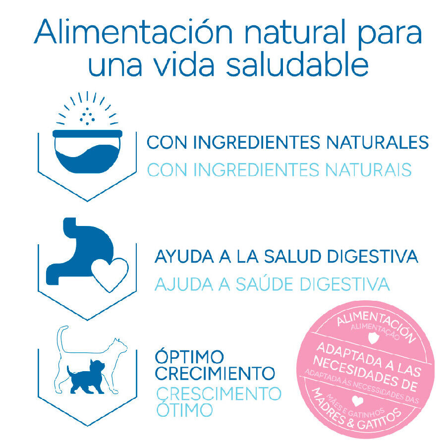 Criadores Científico Mother&amp;BabyCat pollo pienso para gatos thumbnail