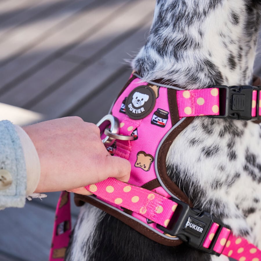 Dukier Dogtella Arn&eacute;s trail para perros, , large Imagen numero 2