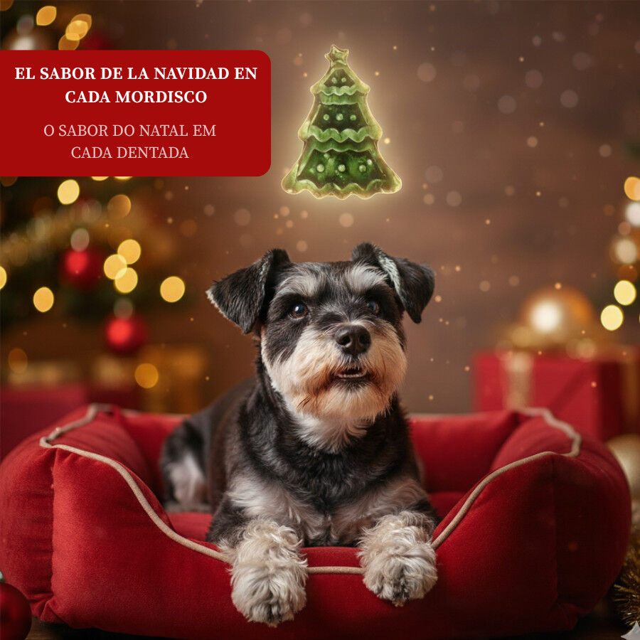 Wonder Christmas Galleta Árbol de Navidad para perros thumbnail