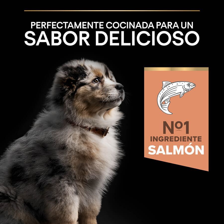 Pro Plan Puppy Medium Salmón Piel sensible pienso para cachorros thumbnail