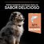 12 kg Pro Plan Puppy Medium Salmón Piel sensible pienso para cachorros, , large indicador imagen numero 7