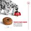 15 kg Royal Canin Medium 10+ Ageing pienso para perros, , large indicador imagen numero 8