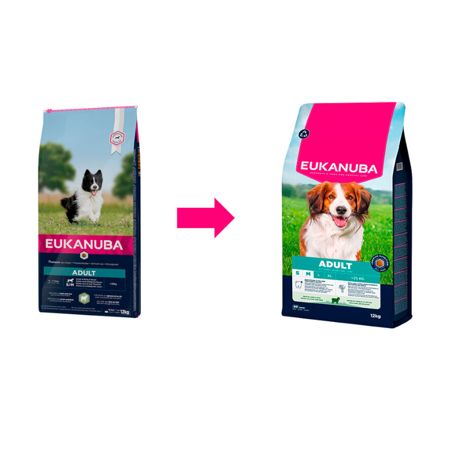 12 kg Eukanuba Adult Cordero y Arroz pienso para perros de raza peque&ntilde;a y mediana, , large Imagen numero 2