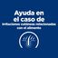 156 g Hill's Prescription Diet Food Sensitives lata z/d para gatos, , large indicador imagen numero 5