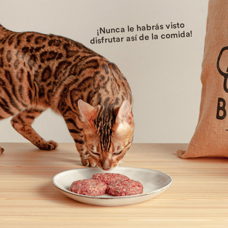 Wild Balance Menú Barf pollo con verduras comida congelada para gatos thumbnail