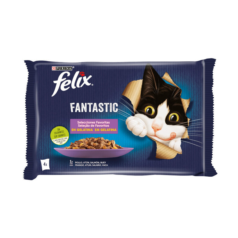 Felix Fantastic Selecciones Favoritas sobres en gelatina – Multipack, , large image number null