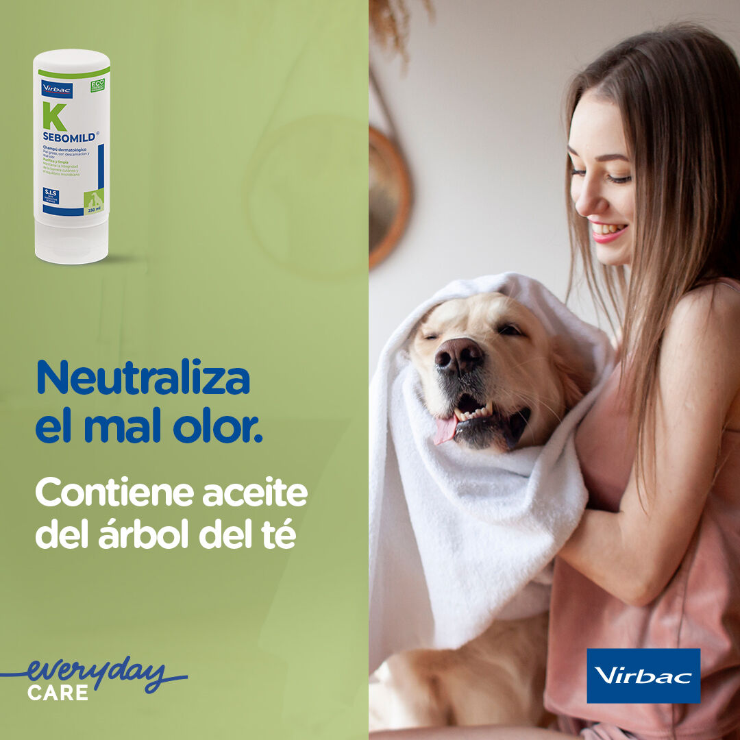 Virbac Sebomild Champú para pieles grasas en perros y gatos thumbnail