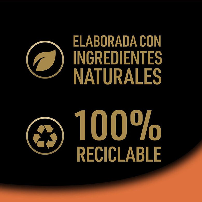 4 tarrinas x 150 g Cesar Selección Clasicos Tarrina en Paté para Perros ,  Imagen numero 7 4 tarrinas x 150 g Cesar Selección Clasicos Tarrina en Paté para Perros , , large Imagen numero 7