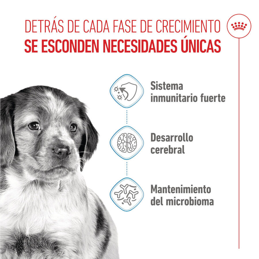 Royal Canin Puppy Medium pienso para cachorros thumbnail