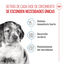 15 kg Royal Canin Puppy Medium pienso para perros, , large indicador imagen numero 3