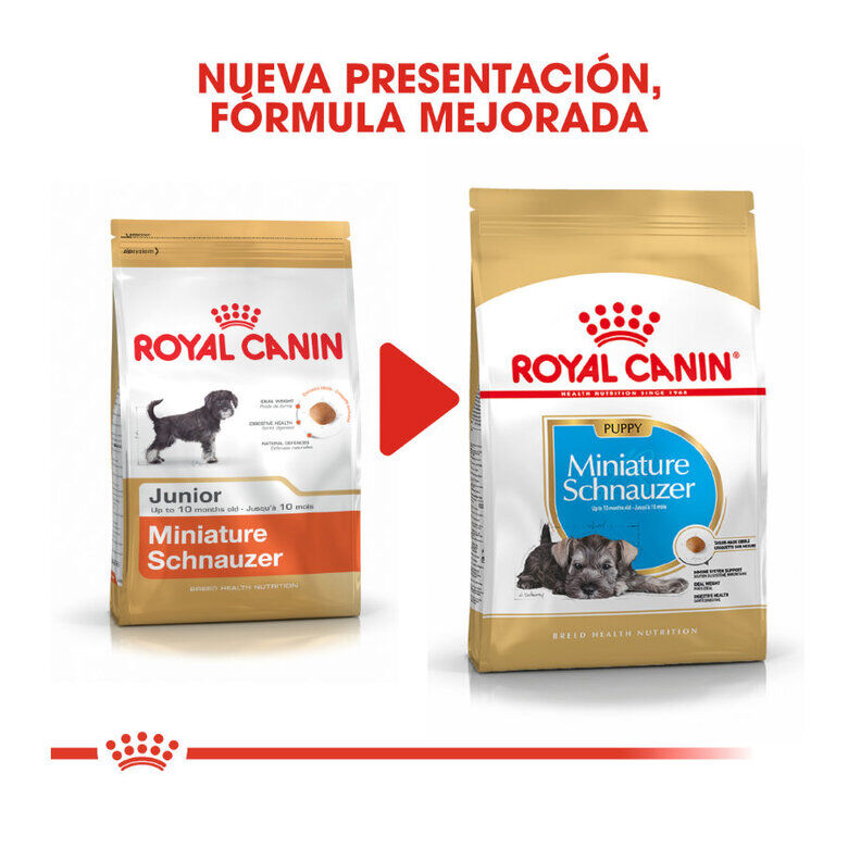 Royal Canin Puppy Miniature Schnauzer pienso para perros thumbnail