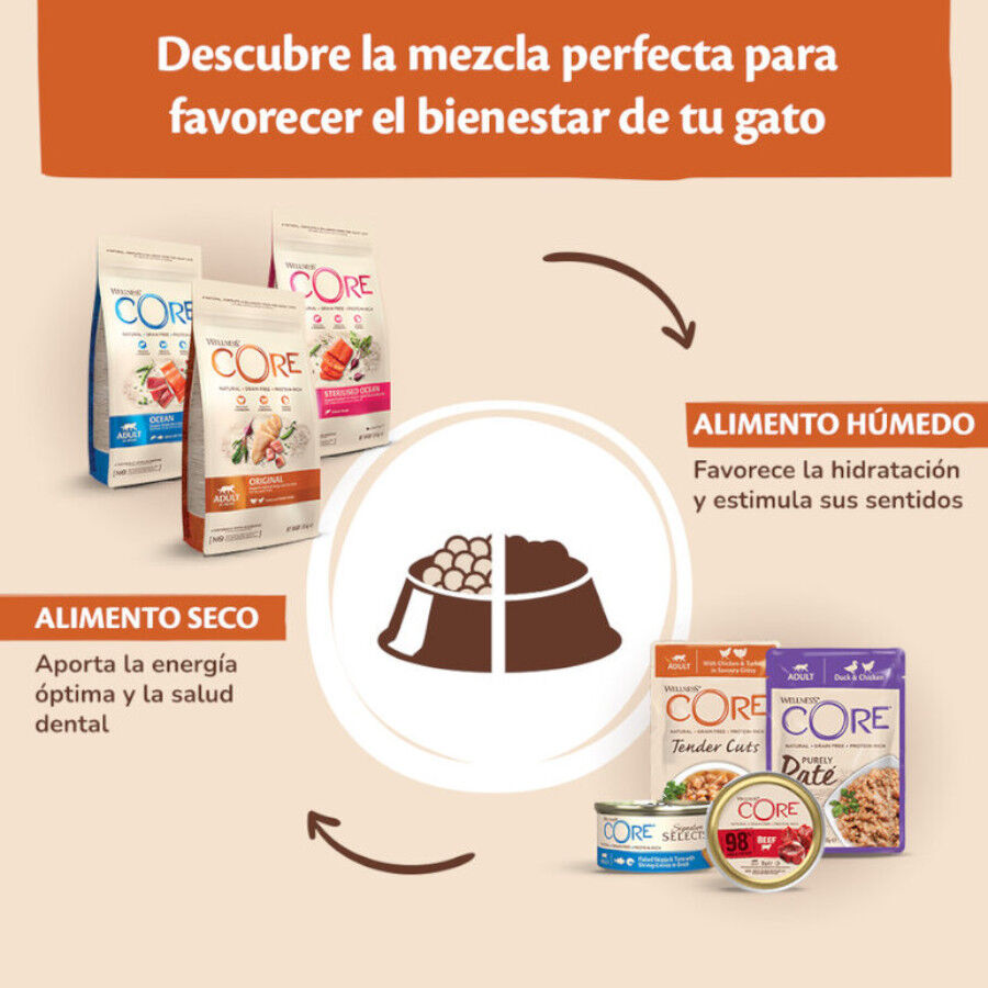 Wellness Core Shredded Pollo lata para gatos thumbnail