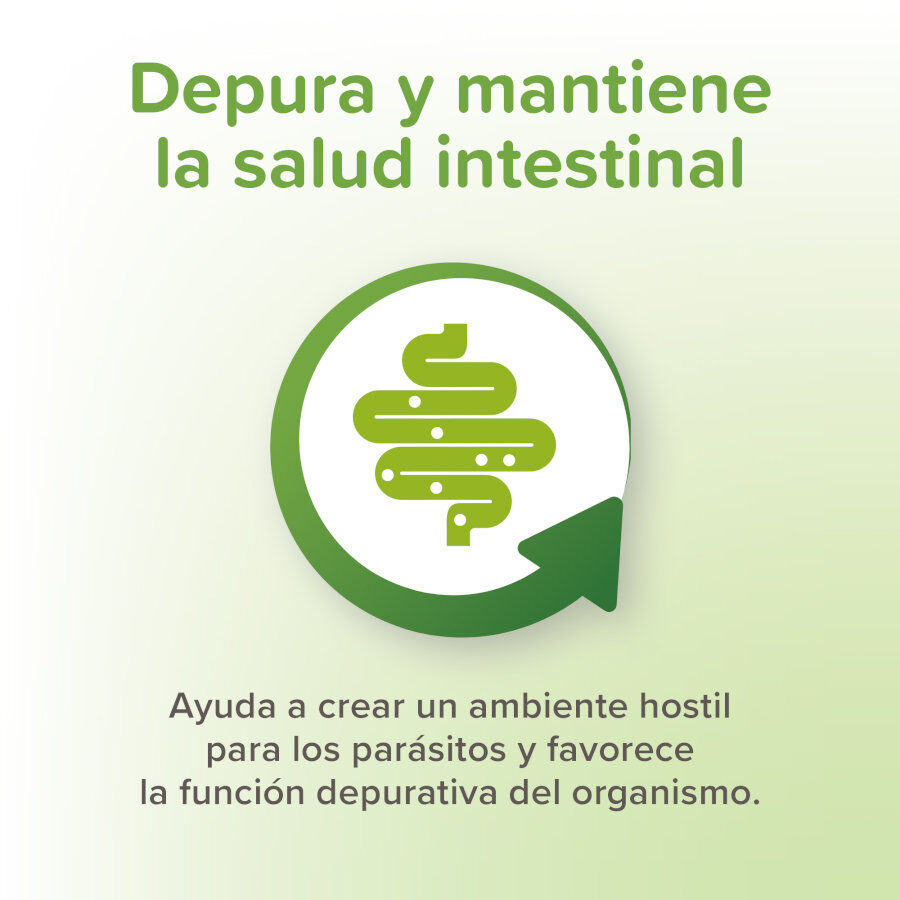 Beaphar Vermipure Repelente Interno Natural en comprimidos para perros medianos y grandes thumbnail