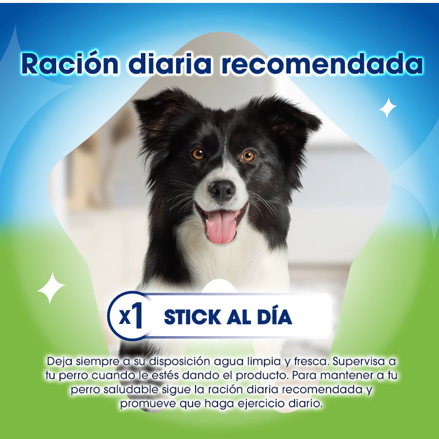 4 barritas Dentalife Snacks Dentales Large ActivFresh para perros, , large Imagen numero 4