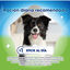 4 barritas Dentalife Snacks Dentales Large ActivFresh para perros, , large indicador imagen numero 4