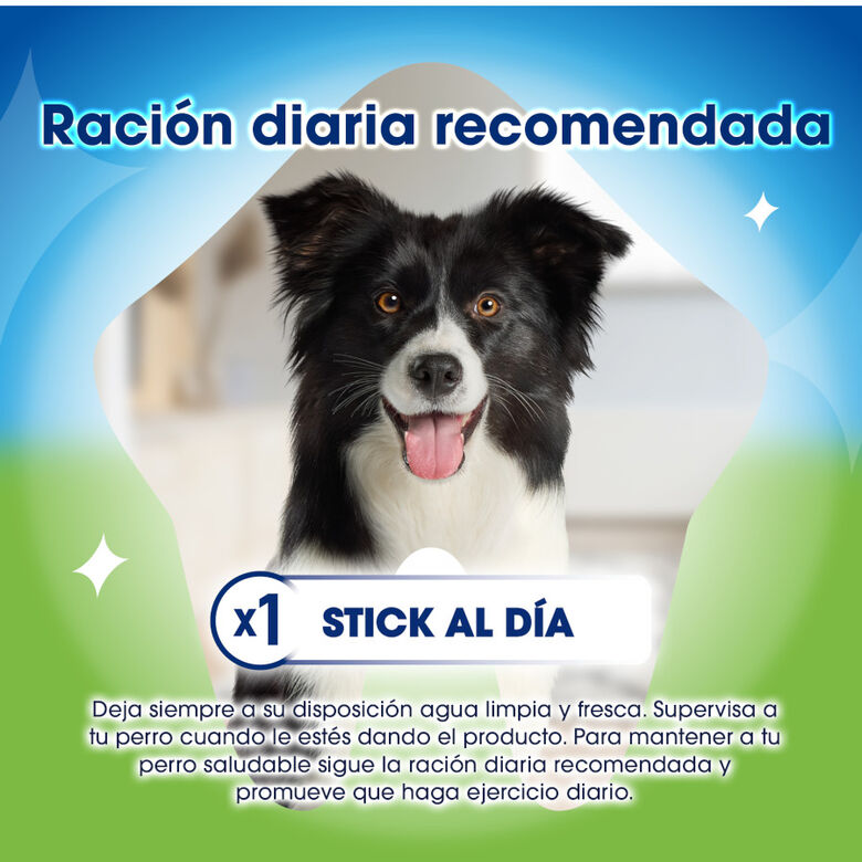 Dentalife Snacks Dentales Large ActivFresh para perros thumbnail