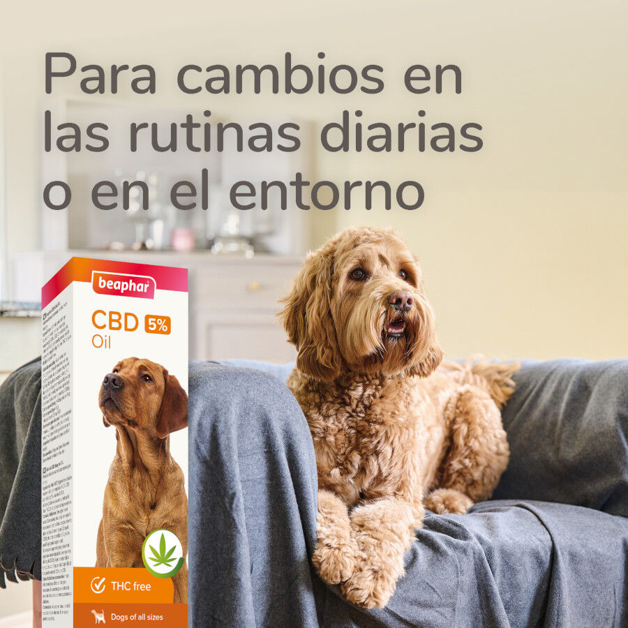 Beaphar Aceite de CBD para perros, , large Imagen numero 2